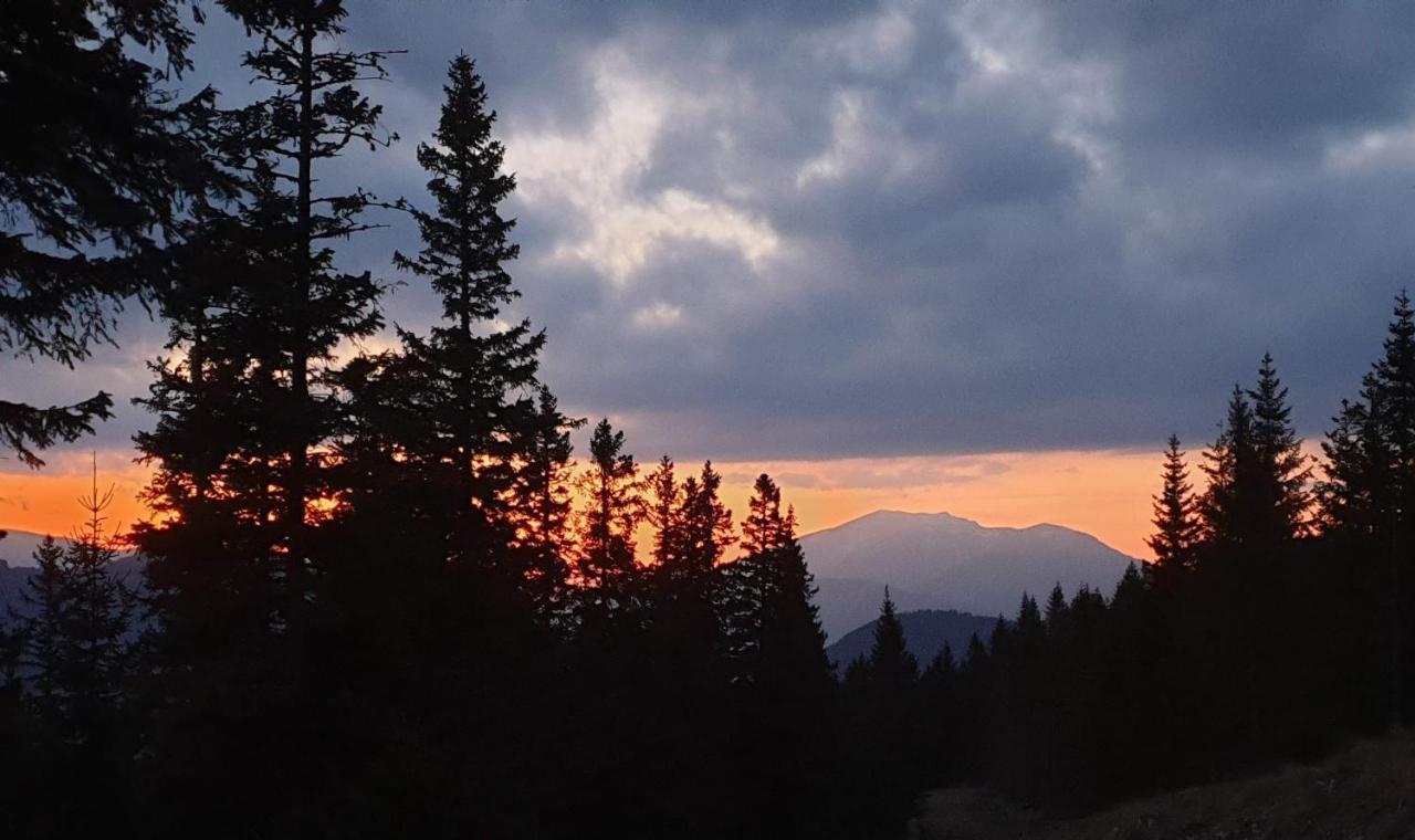 Hubertushof Hotel Trattenbach  Екстериор снимка