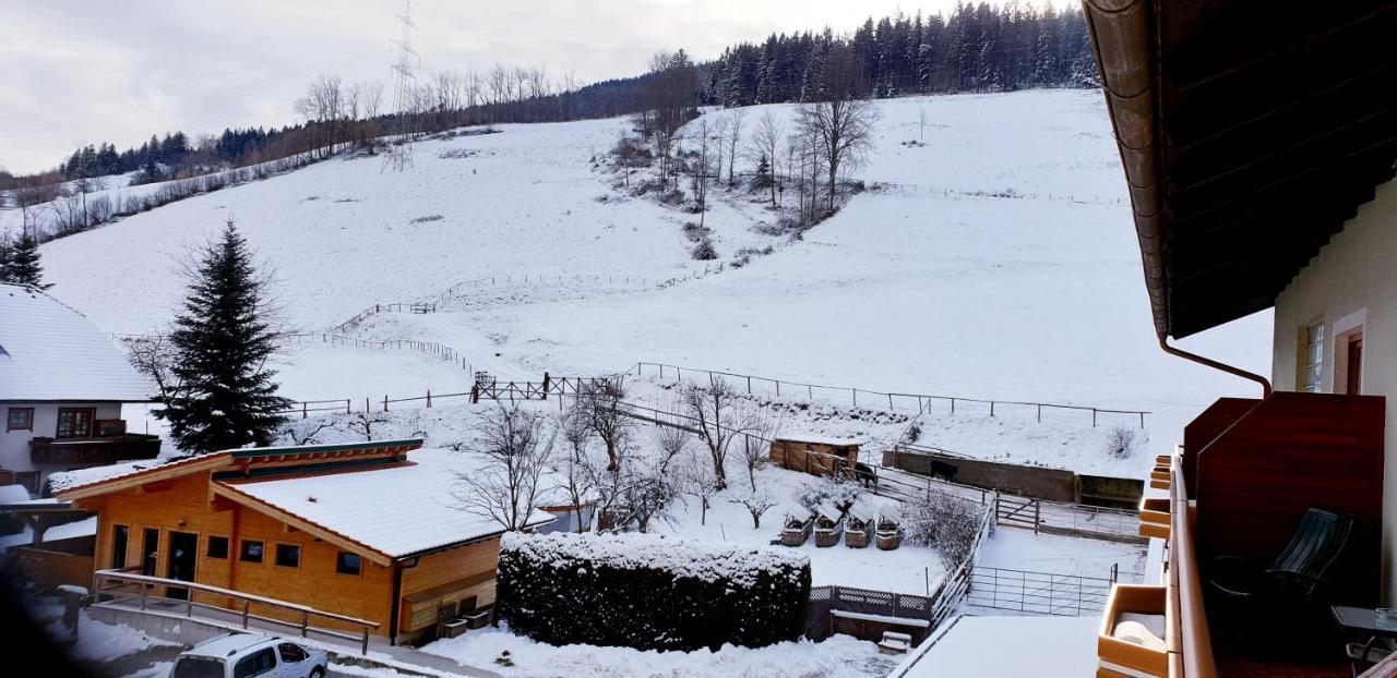 Hubertushof Hotel Trattenbach  Екстериор снимка