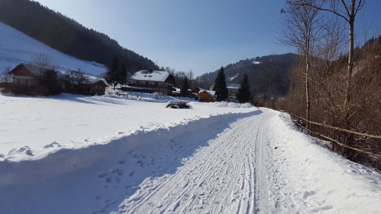 Hubertushof Hotel Trattenbach  Екстериор снимка